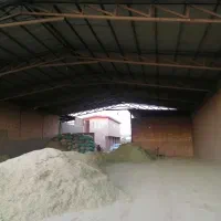 دامشهر.قلعه. دامداری انباری سوله 1300مترتجاری|فروش دفتر صنعتی، کشاورزی، تجاری|سلفچگان, |دیوار