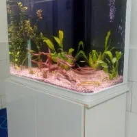 اکواریوم وپایه