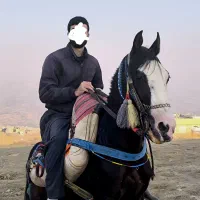 اسب۶سال هلشه و یخته ۶سال اخترمه