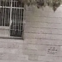 همخونه میشم