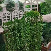 شلف اویز|گل مصنوعی|قم, نیروگاه|دیوار