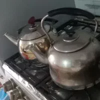 دو عدد کتری نونو