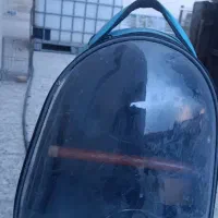کوله حمل پرنده  و گربه