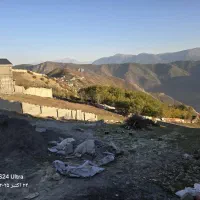 قطعه زمین ۱۰۰۰متری دنج و بکر|فروش زمین و ملک کلنگی|آلاشت, |دیوار