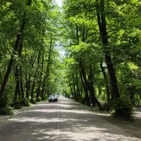 ویلاباغ 380متری/جنگلی چسبیده ب جنگل سندتکبرگ|فروش خانه و ویلا|آستانه اشرفیه, |دیوار