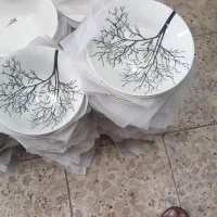 بشقاب و کاسه