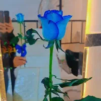 مژه کار،رنگ کار،اپیلاسیون کار،کراتین کار