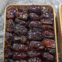 فروش عمده و خرده خرمای کبکاب دشتستان بوشهر