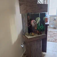 اکواریوم کمدی ایستاده ۱/۵متری با کلیه لوازم|ماهی|تهران, دولاب|دیوار