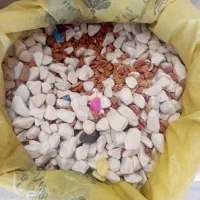 سنگ اکواریوم اجیلی