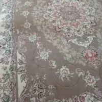 دوعدقالی ۱۲متری تمام نخن ۵۰۰شانه هرعدد۱۲میلیون