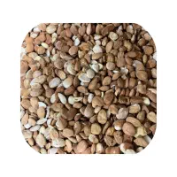 هسته زرد آلو شکسته و سالم روغن گیری آجیلی شیرینی