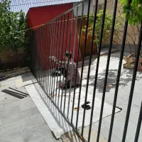 جوشکارسیار جعفری