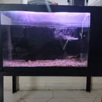 اکواریوم با پایه