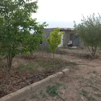 زمین باغ به متراژ ۱۰۰۰ متر واقع در نظر آباد|فروش دفتر صنعتی، کشاورزی، تجاری|نظرآباد, احمد آباد|دیوار