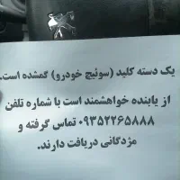 سویچ 206 گم کردم