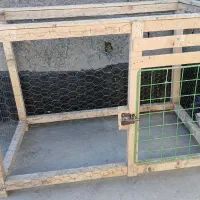 قفس و جفتگاه کبوتر