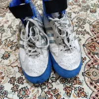 کفش کشتی LION