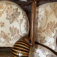 کمانچه همایون|سازهای سنتی|شاهرود, |دیوار