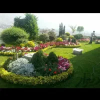 خدمات باغبانی گلکاری باغچه کودهی هرس درختکاری میوه