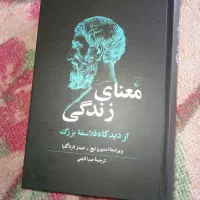 کتاب معنای زندگی از دیدگاه فلاسفه‌ی بزرگ