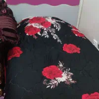 تخت خواب|تخت و سرویس خواب|پردیس, فاز ۸|دیوار