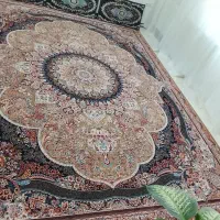 قالی|فرش|گلبهار, شهر جدید گلبهار|دیوار