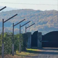 همین الان متری دو میلیون سود تو جیبته(فروش فوری)|فروش زمین و ملک کلنگی|نور, |دیوار