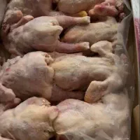 مرغ اکبر جوجه ای گرید A