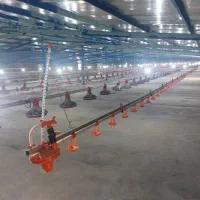 فروش مرغداری ۳۰ هزاری تمام اتوماتیک|فروش دفتر صنعتی، کشاورزی، تجاری|میناب, |دیوار