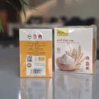 نمایندگی رسمی پخش جوانه گندم ستین(کلی و جزئی)