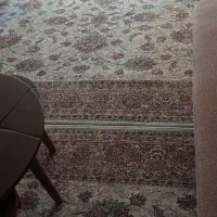 چند تخته فرش ماشینی|فرش|اسدآباد, |دیوار