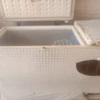 فریزر|یخچال و فریزر|بندر گناوه, |دیوار