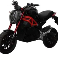 موتور برقی pms /2000w