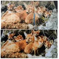 پرداخت برجسته تابلو فرش