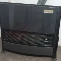 بخاری ۲۴ هزار سالم