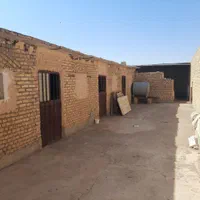 باشگاه اسب واقع در پشت هتل کریاس پلاس بدرآباد