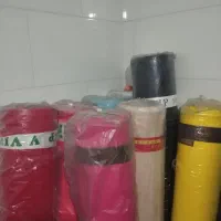 ارگانزا