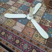 پنکه سه پره سالم در حال کاردن