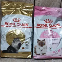 غذا خشک سگ و گربه