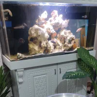 آکواریوم شیشه خم شرکتی با پایه mdf