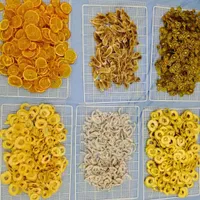 دستگاه میوه و سبزی خشک‌کن دیجیتال حرفه‌ای|سایر لوازم برقی|اهواز, شریعتی جنوبی|دیوار