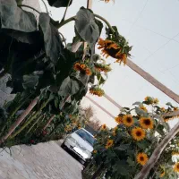 باغ ویلا ۳۶۰متری (ملکی)معاوضه.نزدیک به مرکزشهر