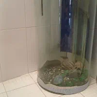 اکواریوم استوانه