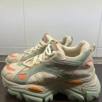 کتانی نو|کیف، کفش، کمربند|الوند, |دیوار