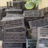 سبد پلاستیکی