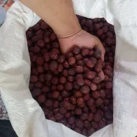 عناب، و حبه عناب قائنات|خوردنی و آشامیدنی|قم, شهرک امام حسین|دیوار