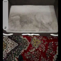مبلشویی فوق تخصصی مهستان|خدمات نظافت|ایلام, |دیوار