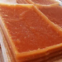 نبات تازه