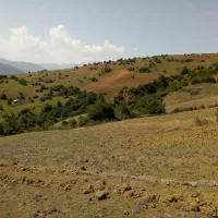 فروش فوری زمین ییلاقی